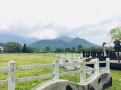 -瑞穗牧场