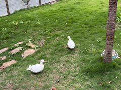 -杭州开元森泊度假乐园