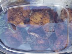 -连鹭海鲜·海肠捞饭·海胆饭(星海店)