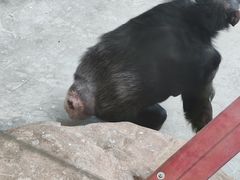 -太原动物园