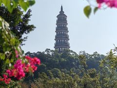 -顺峰山公园