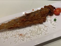 九肚鱼-马旺子酒楼