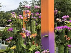 -云溪植物园