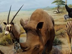 -陕西自然博物馆