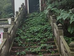 -南山植物园