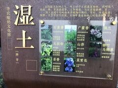 -华农酸奶文化馆