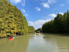 -上海海湾国家森林公园