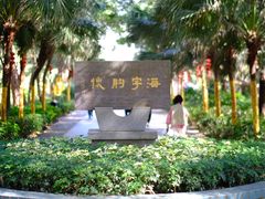 -宋井风景区
