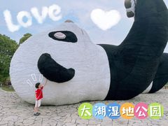 -苏州太湖国家湿地公园
