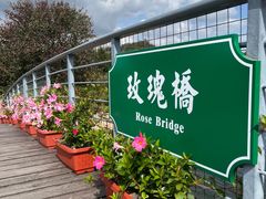 -上海辰山植物园