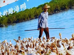 -虎婆冷饮店·海南特色炒冰(三亚湾店)