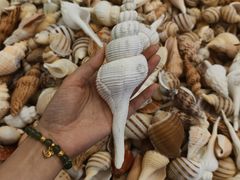 -万达广场(武汉菱角湖店)