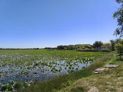 -天津东丽湖风景区