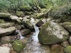 -小陇山国家森林公园桃花沟景区