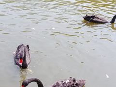 -无锡动物园·太湖欢乐园