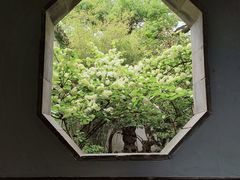 -惠山国家森林公园