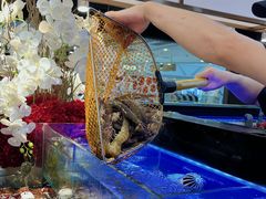 -苏格里岛自助烤肉海鲜火锅(成都金牛万达店)