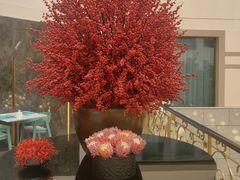 -北京宝辰饭店·明苑咖啡厅