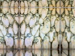 -中国（海南）南海博物馆