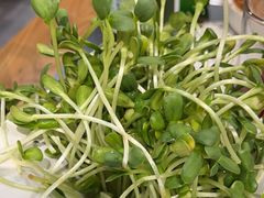 -常赢三兄弟·清真涮肉·清真炒菜(朝阳新城店)