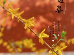 -宫事颐庭·老佛爷贵寿下午茶(颐和园店)