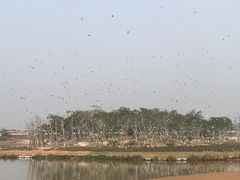 -美的鹭湖森林度假区