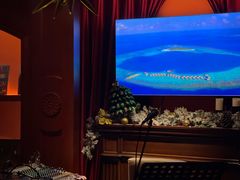 -音乐房子·Vintage Live Bar(玉林总店)