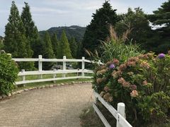 -神户市立六甲山牧场