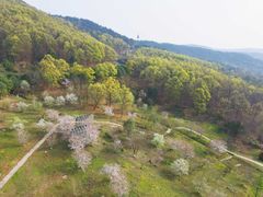 -南京市无想山景区