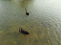-五缘湾湿地公园