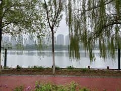 -长白岛森林公园