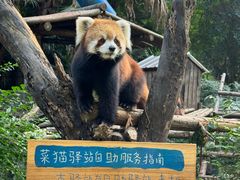 -柳州市动物园