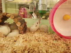 -龙猫仔乐园(惠福东路店)