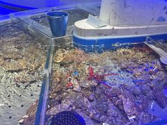 -澜悦港海鲜体验主题餐厅