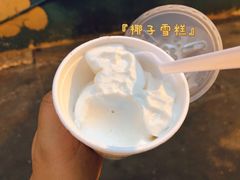 -洪馨椰子