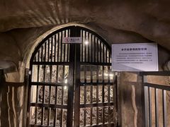 -重庆十八梯传统风貌区