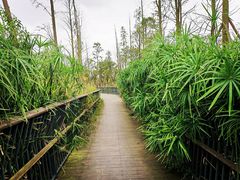 -白鹭湾湿地公园