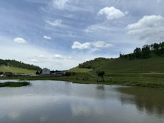 -关山草原
