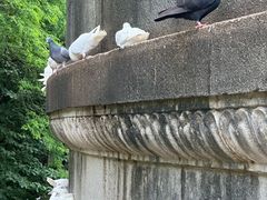 -音乐台