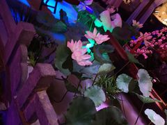 -韵秋荷(宝山龙湖天街店)