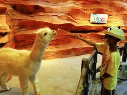 -酷嗒动物文化乐园(cutezoo西溪乐天城店)