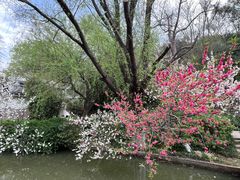 -南山风景名胜区