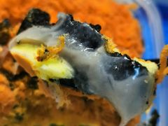 -纯坊佳哥手作(江汉路店)