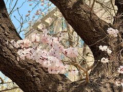 -吉林大学(南岭校区)