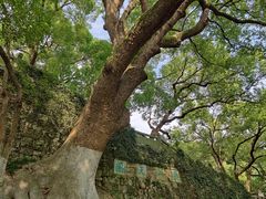 -吴山景区