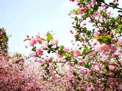 -白塘生态植物园