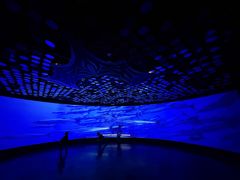 -同济大学四平路校区深海探索馆