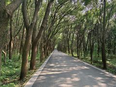 -同里国家湿地公园