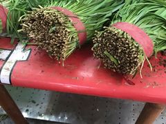 -红星农贸市场(红星东路店)