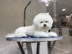 -华侨城东方花园会所
